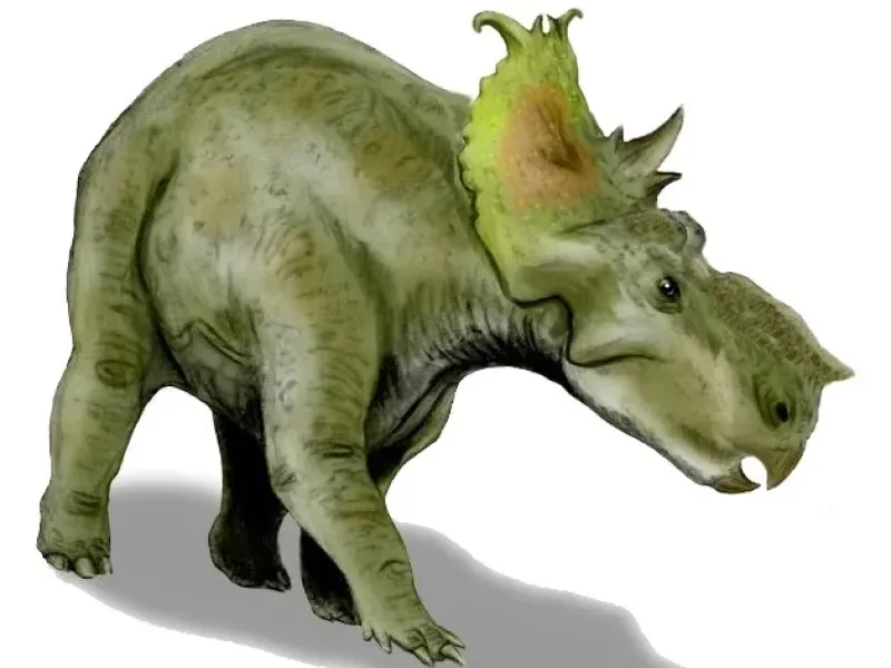 Пахиринозавры