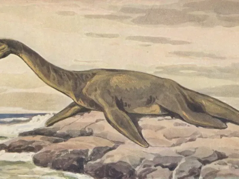 Плезиозавры